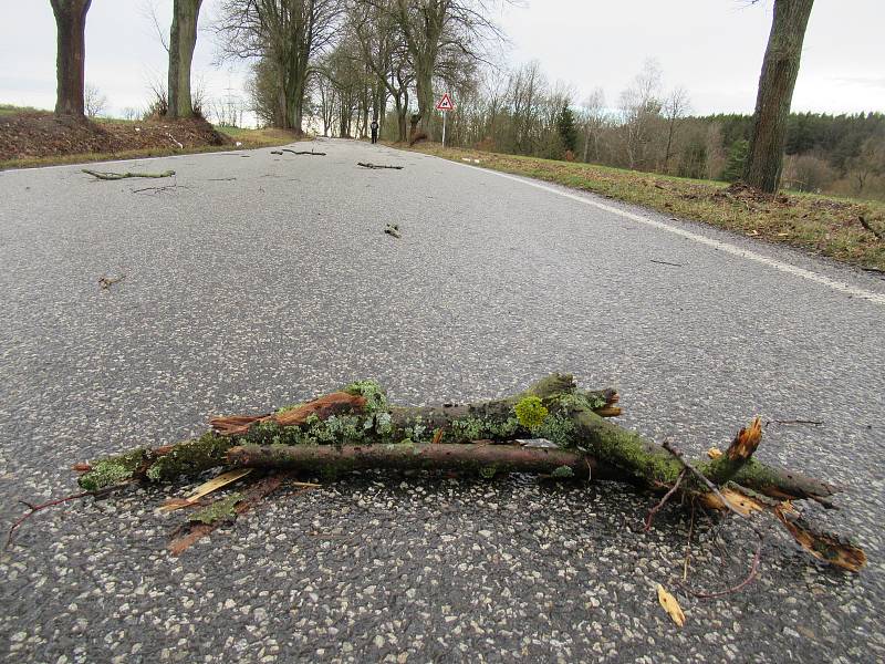 Silný vítr v pondělí 10. února přinesl na Táborsko déšť a zatopil silničářům. Průtrž se strhla po 8. hodině také přímo v Táboře, voda se valila přes silnici v Měšicích, silnice na Turovec je v obou směrech uzavřena. K zemi Sabine poslala i statnou břízu u