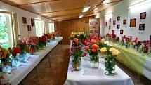 Vyrazte do táborské botanické zahrady na výstavu růží