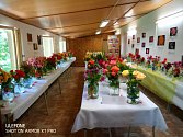 Vyrazte do táborské botanické zahrady na výstavu růží