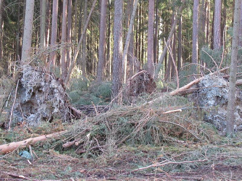 Stromy z neděle na pondělí padaly v Bojbukách, Turovci, Nadějkově, Dráchově, Veselí nad Lužnicí, Opařanech a u Košic. Na poli u Dlouhé Lhoty leží dokonce převrácená kazatelna.