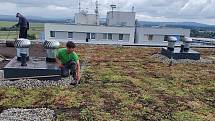 Na pilotní projekt zelené střechy v Táboře mají navazovat v budoucnu další. Rozchodníky na třináctipatrovém domě v Berlínské ulici zajistí termoregulační vlastnosti i prodloužení životnosti.