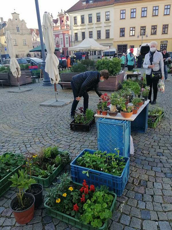 Na táborské Žižkovo náměstí se vrátily trhy.
