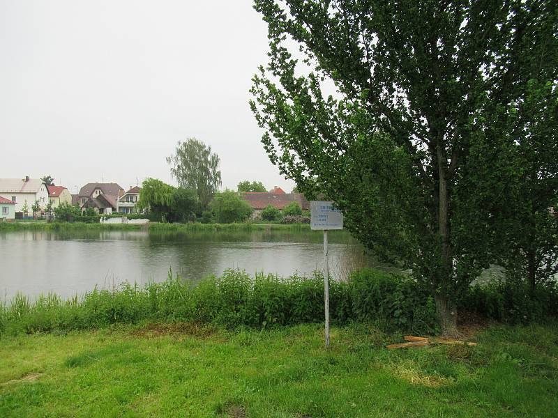 Řeka Lužnice v Plané nad Lužnicí v úterý 10. června ráno měla díky vydatným srážkám zvýšenou hladinu.
