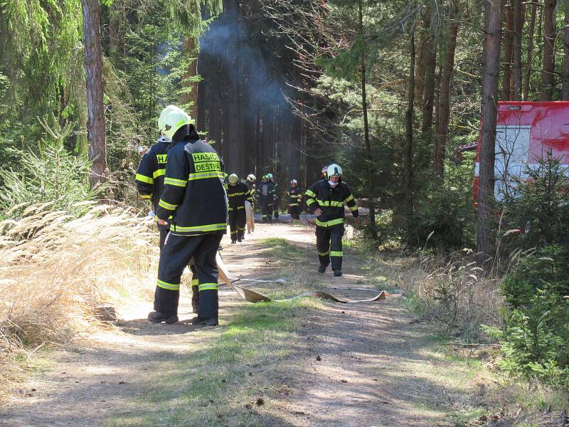 Lesní porost hořel ve středu 8. dubna mezi obcemi Myslkovice a Brandlín na Táborsku.