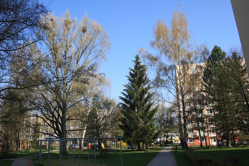 Havrani obsadili Pražské sídliště v Táboře