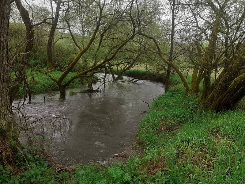 Zvýšenou hladinu měl i dvanáctihektarový rybník Starosta na Dírenském potoce poblíž Mezné na Soběslavsku.
