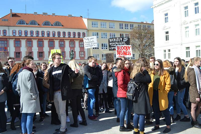 Studenti demonstrovali v Táboře na náměstí T.G.M.