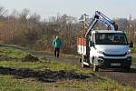 V sobotu 21. listopadu ve Veselí nad Lužnicí přibyla další zeleň, na výsadbu 40 dubů dohlížel zkušený dendrolog Miroslav Kohel.