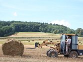 Sklizeň všech základních plodin s výjimkou řepky loni v Jihočeském kraji vzrostla. Na druhé straně však zemědělce trápí pokles živočišné výroby.  