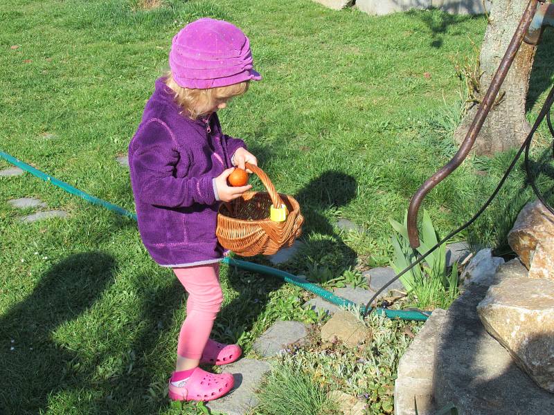 Tříleté Aničce Krejčí z Košic rodiče zpříjemnili Velikonoční pondělí hledáním obarvených vajíček po zahradě.