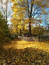 Podzim na Hutích u Bechyně.