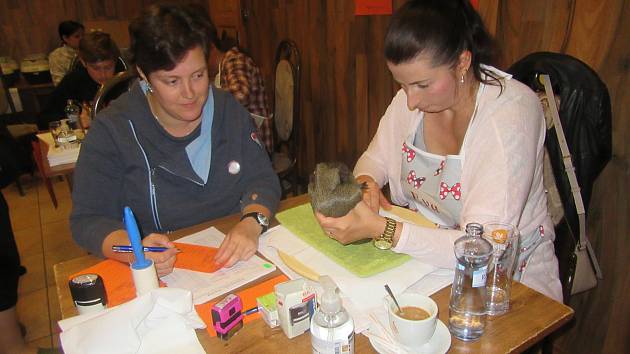 Už počtvrté pořádaly Andrea Blažková a Eva Švecová chovatelskou výstavu morčat v areálu restaurace Hilton.