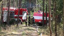 Lesní porost hořel ve středu 8. dubna mezi obcemi Myslkovice a Brandlín na Táborsku.