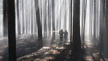 K požáru lesního porostu mezi obcemi Myslkovice a Brandlím na Táborsku byl povolán i policejní vrtulník.