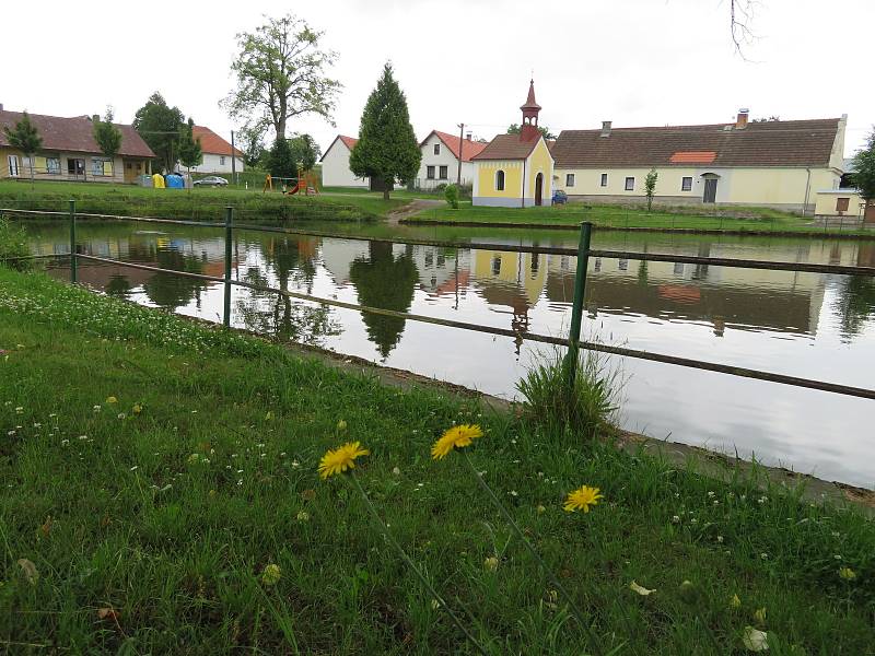 Košice se nachází nedaleko Soběslavi v jihočeském kraji. Historie obce sahá až do 13. století. Obec se skládá za tří místních částí Košice, Doubí a Borek.