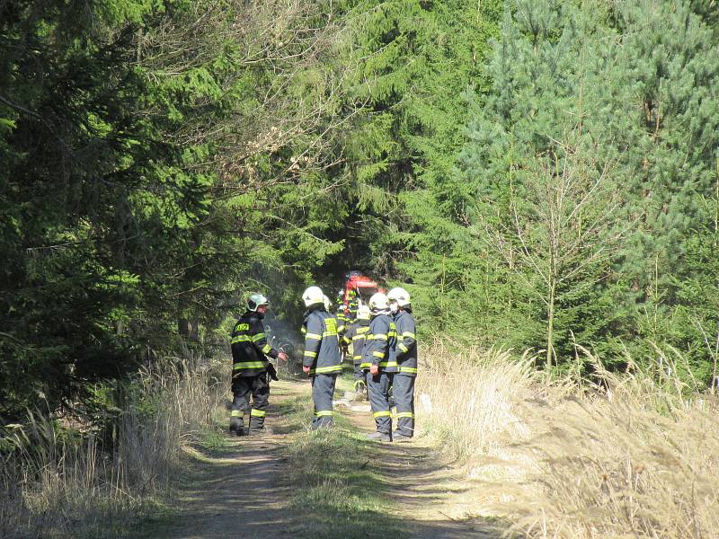 Lesní porost hořel ve středu 8. dubna mezi obcemi Myslkovice a Brandlín na Táborsku.