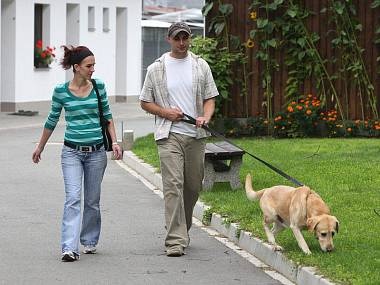 Vyhláška zakazuje pobíhání psů, vyhrazuje místa pro jejich volný pohyb -  Pražský deník