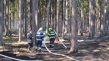 Lesní porost hořel ve středu 8. dubna mezi obcemi Myslkovice a Brandlín na Táborsku.