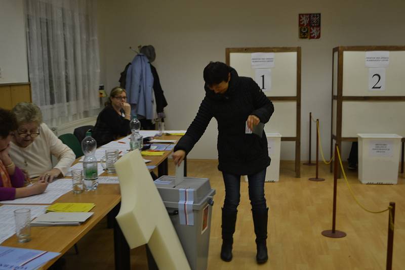 Prezidentské volby v Mladé Vožici.