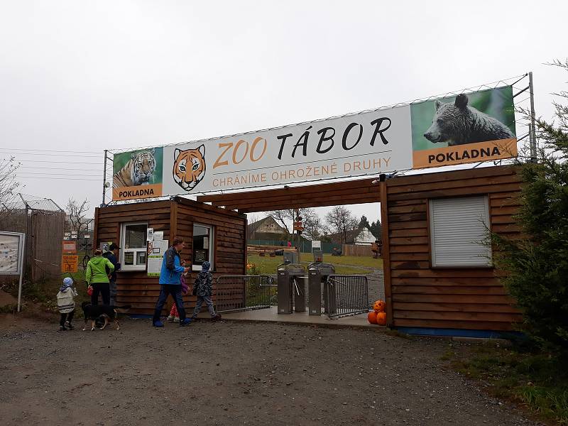 Halloween v ZOO Tábor.