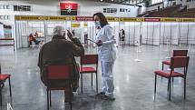 V Táboře ve čtvrtek začal provoz očkovacího centra na zimním stadionu. Podívejte se, jak jej na fotografiích zaznamenal David Peltán.