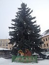 Vánoční strom v Táboře.