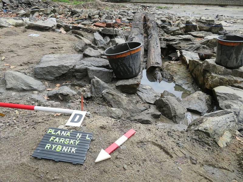 Tým archeologů Husitského muzea v Táboře na dně Farského rybníka v Plané nad Lužnicí pracuje již od srpna.