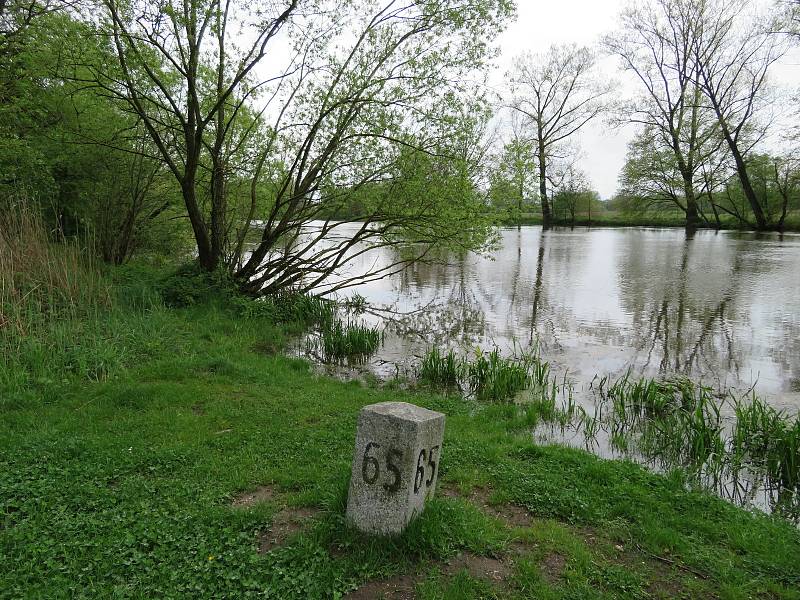 Lužnice, Nežárka a Černovický potok na Táborsku v pátek 14. května.