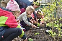 Školní zahrada slouží jako zelená oáza nejen pro děti, ale i širokou veřejnost.