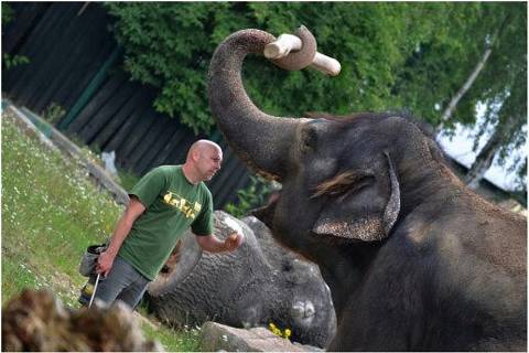 Záložák Jan Javůrek se o slony staral 23 let