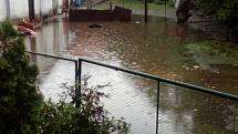 Zaplavený dvůr v obci Sviny na Táborsku.