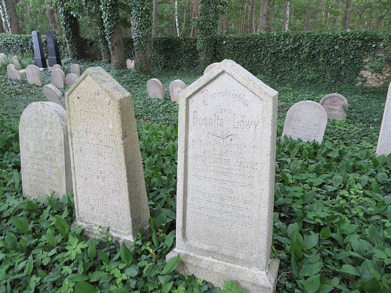 Židovský hřbitov v Myslkovicích.