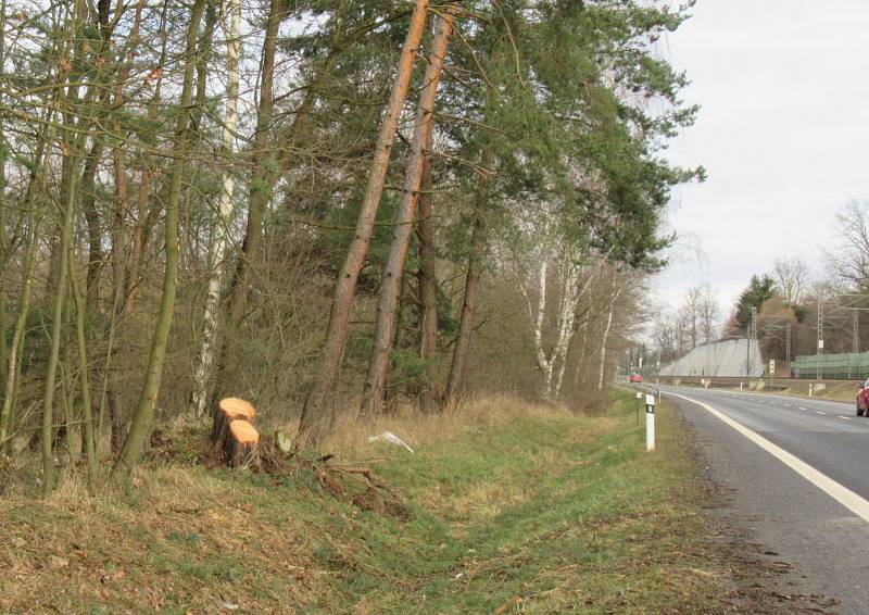 Stromy z neděle na pondělí padaly v Bojbukách, Turovci, Nadějkově, Dráchově, Veselí nad Lužnicí, Opařanech a u Košic. Na poli u Dlouhé Lhoty leží dokonce převrácená kazatelna.