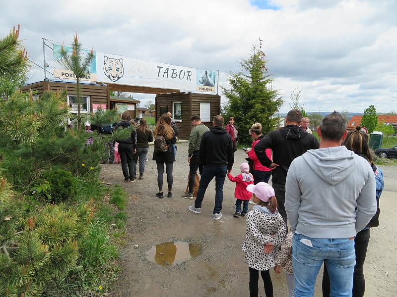 Táborská zoologická zahrada po nucené koronavirové pauze zažívá boom návštěvníků.