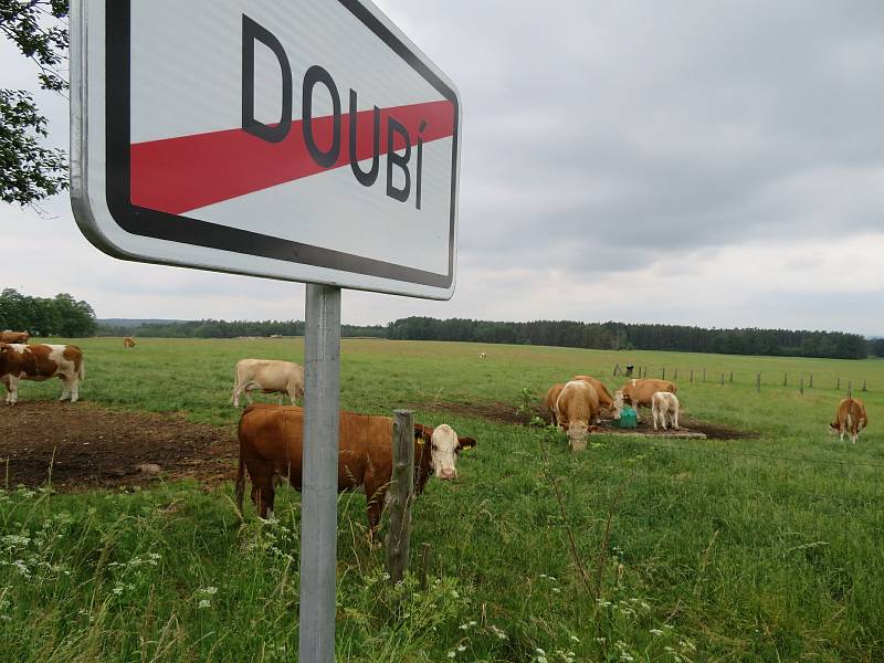 Košice se nachází nedaleko Soběslavi v jihočeském kraji. Historie obce sahá až do 13. století. Obec se skládá za tří místních částí Košice, Doubí a Borek.