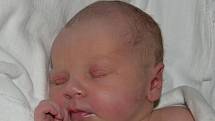 Karolína Homolková z Tábora. Poprvé na svět pohlédla 11. října v 18.32 hodin. Prvorozená dcera rodičů Michaely a Petra po porodu vážila 3250 gramů.