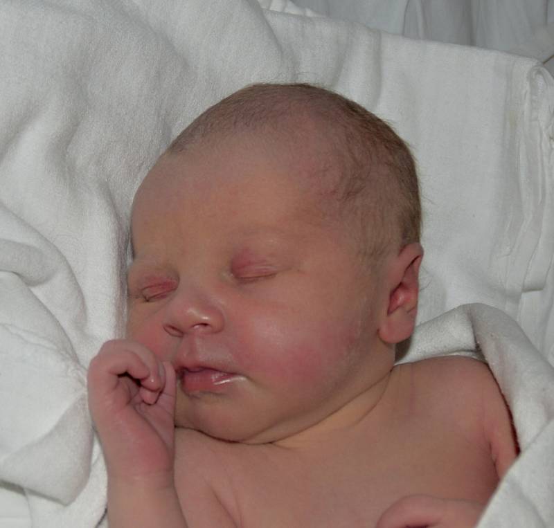 Karolína Homolková z Tábora. Poprvé na svět pohlédla 11. října v 18.32 hodin. Prvorozená dcera rodičů Michaely a Petra po porodu vážila 3250 gramů.