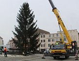 Vánoční strom v pondělí dorazil na Žižkovo náměstí.
