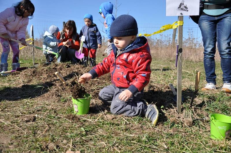  V neděli oslavovali rodiče, prarodiče a hlavně děti příchod jara na zahrádce. V lesní MŠ Žijem lesem byl pro zúčastněné připravený odpolední program s názvem „Stezka malého zahradníka".