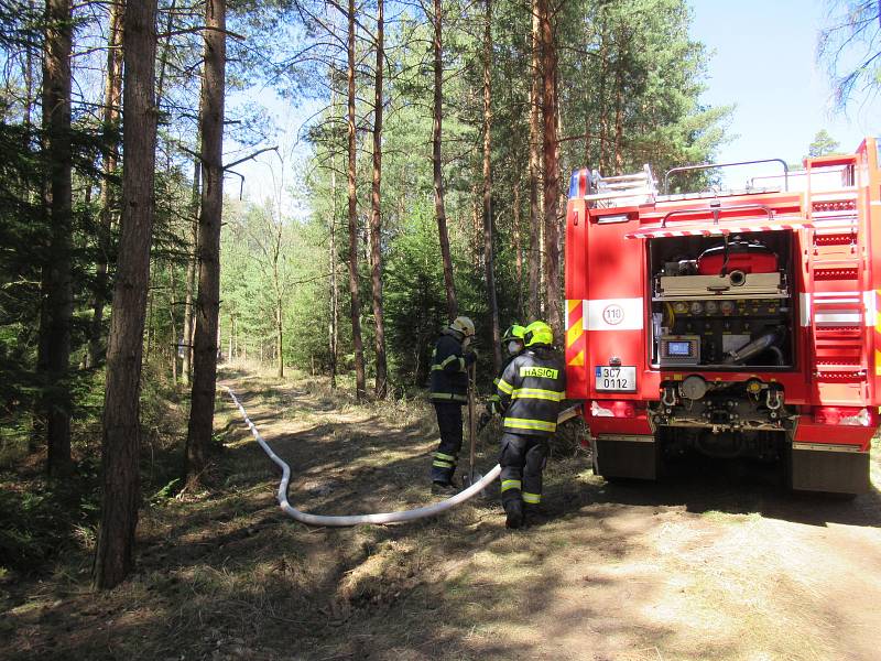 Lesní porost hořel ve středu 8. dubna mezi obcemi Myslkovice a Brandlín na Táborsku.