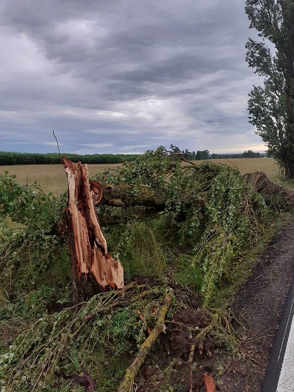 Ze středy 29. na čtvrtek 30. července ničivý živel udeřil i na Soběslavsku, mezi obcemi Komárov a Svinky poničil topolovou alej u komunikace i blízký les.