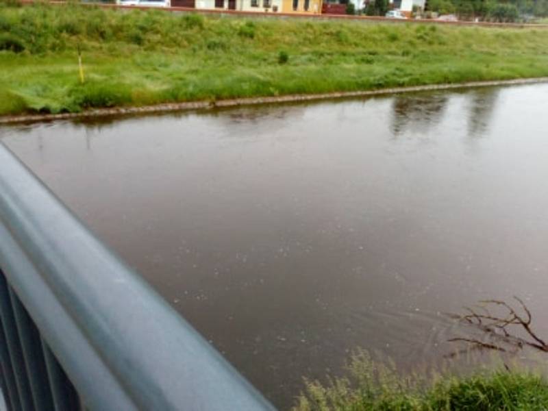 Aktuální stav řek Nežárky a Lužnice ve Veselí nad Lužnicí.