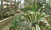 Botanická zahrada zve na Víkend otevřených zahrad