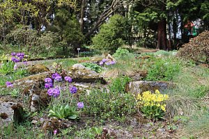 Botanická zahrada o víkendu otevře skleníky a nabídne komentovanou prohlídku.