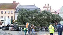 Vánoční strom na Žižkově náměstí v Táboře se nepodařilo v pondělí ukotvit, musel tak přečkat dvě následující noci na tahači. Pracovníci města mezitím rozšířili skruž, do níž ho ukotví.