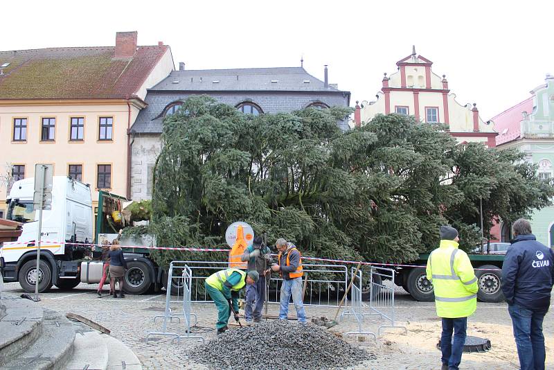 Vánoční strom na Žižkově náměstí v Táboře se nepodařilo v pondělí ukotvit, musel tak přečkat dvě následující noci na tahači. Pracovníci města mezitím rozšířili skruž, do níž ho ukotví.