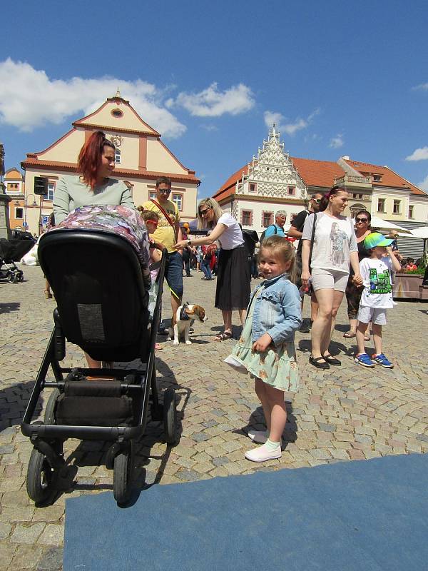 Hudba, tanec, dobročinný jarmark malovaných kamínků, dílničky i putování za tajenkou historickým centrem Tábora. To byla nedělní oslava 25. narozenin Rodinného centra Radost na Žižkově náměstí.