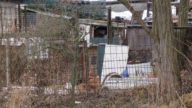 V malochovu drůbeže V Dlouhé Lhotě odhalila Státní veterinární správa první ohnisko ptačí chřipky na Táborsku. Nákazu do chovu nejspíš zavlekly divoké kachny z Návesního rybníka.