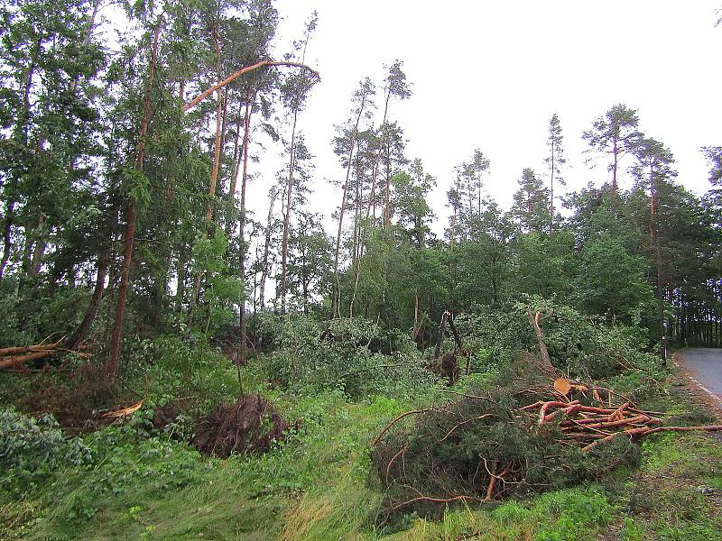 Ze středy 29. na čtvrtek 30. července ničivý živel udeřil i na Soběslavsku, mezi obcemi Komárov a Svinky poničil topolovou alej u komunikace i blízký les.