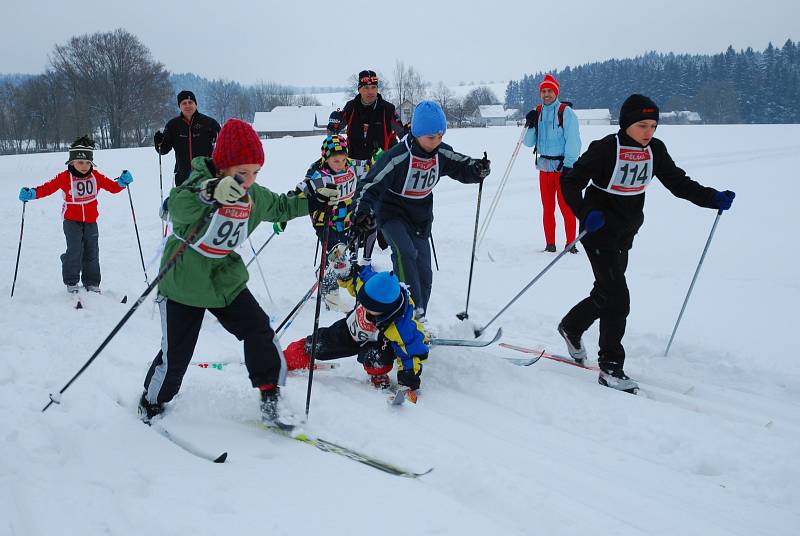 ZÁVOD. Na trať amatérského běžkařského závodu se postavilo přes 120 lyžařů